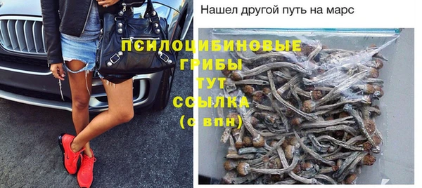 хмурый Богородицк