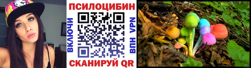 Псилоцибиновые грибы GOLDEN TEACHER  Курильск 
